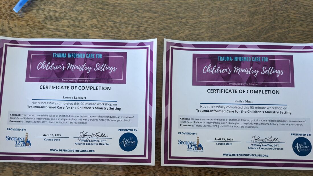 Trauma Training for Children’s Ministry Settings
